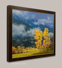 Load image into Gallery viewer, November in Quartz Valley, CA
