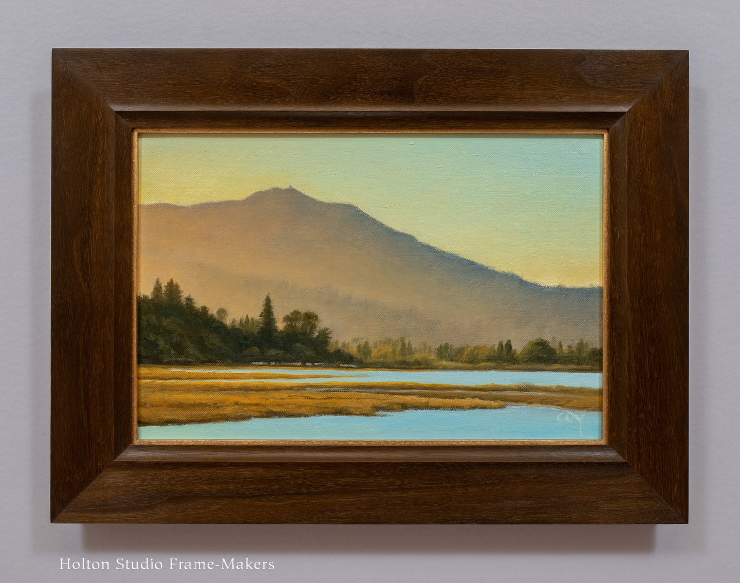 Mt. Tamalpais from Mill Valley