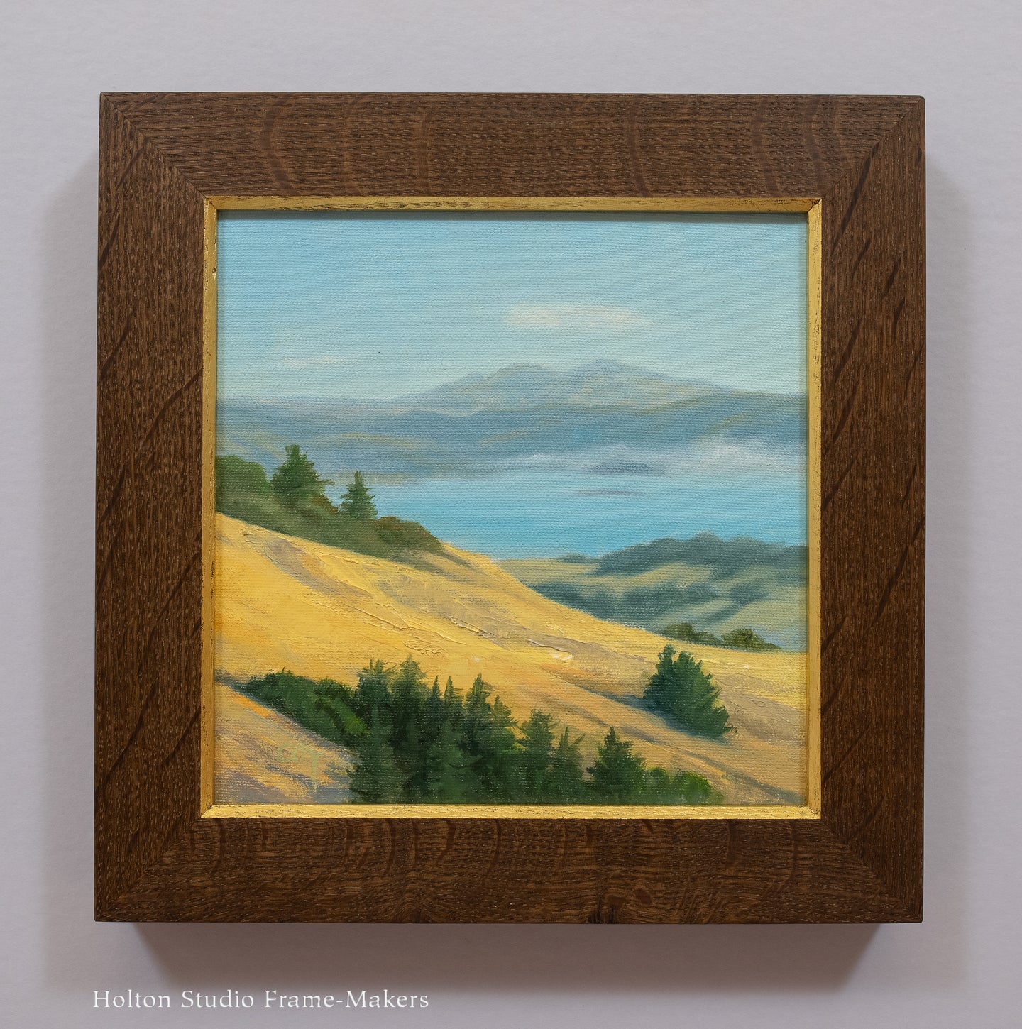 Mt. Diablo From M. Tam