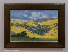 Load image into Gallery viewer, Late Afternoon Near Spirit Rock; Marin County
