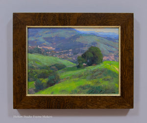 Donald Reservoir, Moraga