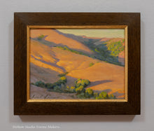 Load image into Gallery viewer, Wildcat Park at Sunset
