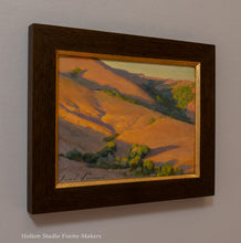 Load image into Gallery viewer, Wildcat Park at Sunset
