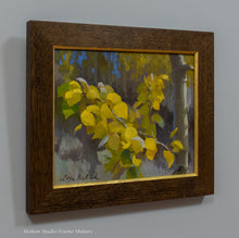 Load image into Gallery viewer, Young Aspen
