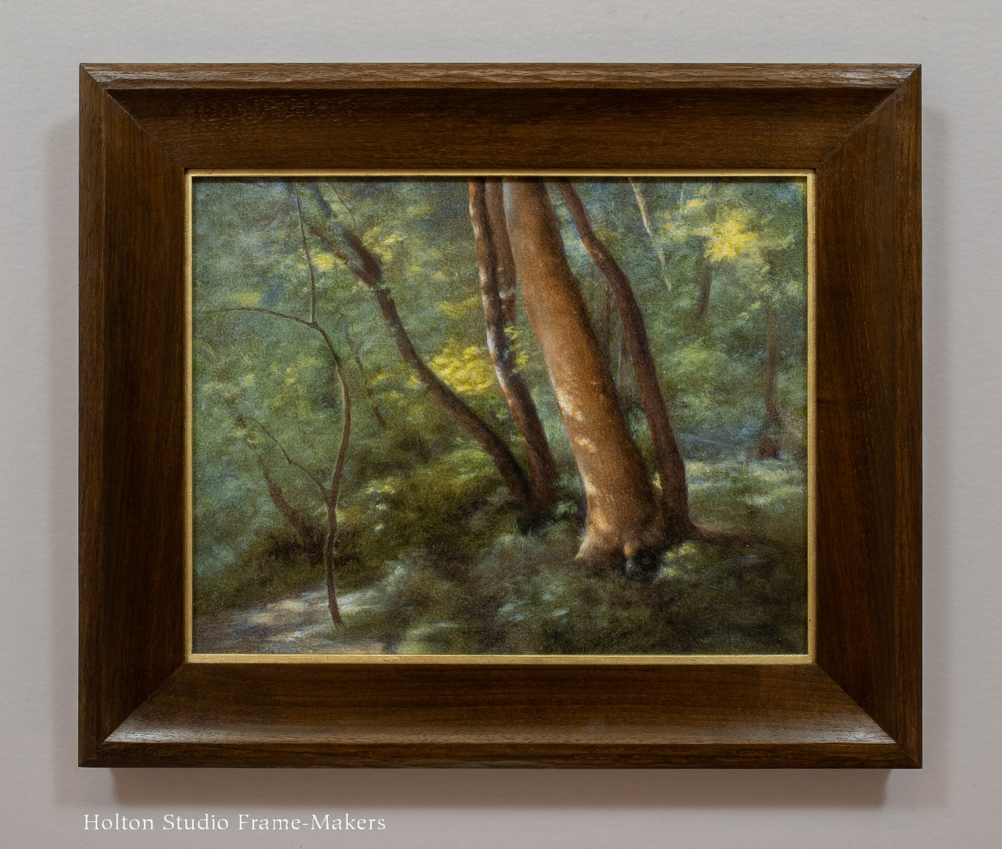 Bank of the San Lorenzo