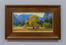 Load image into Gallery viewer, Iconic Elm of Yosemite
