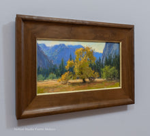 Load image into Gallery viewer, Iconic Elm of Yosemite
