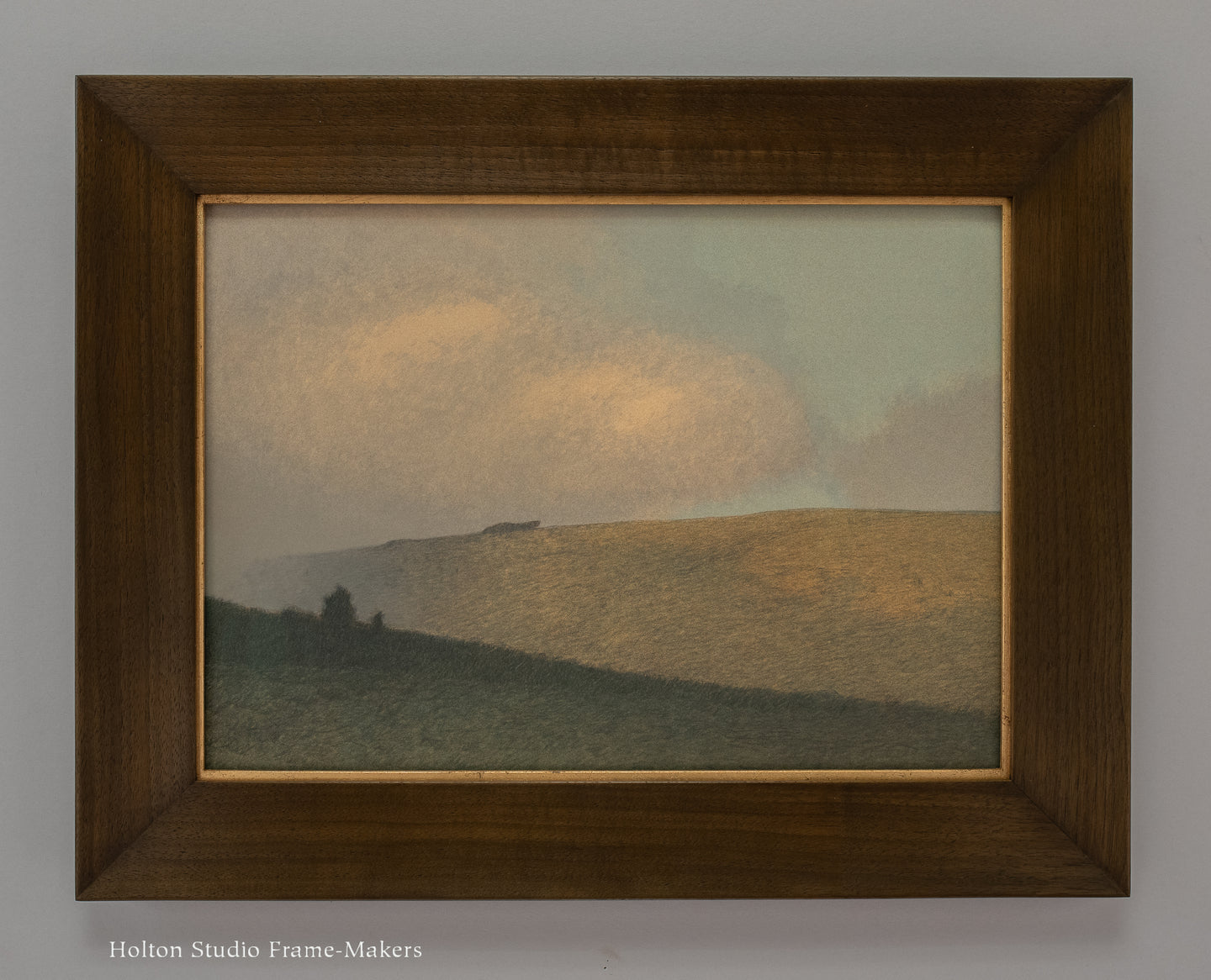 Summer on the Marshall Ridge