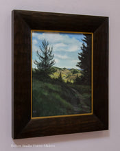 Load image into Gallery viewer, Path Through the Pines-Estero Trail to Limantour

