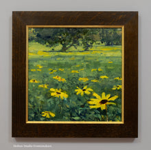 Load image into Gallery viewer, California Brittlebush
