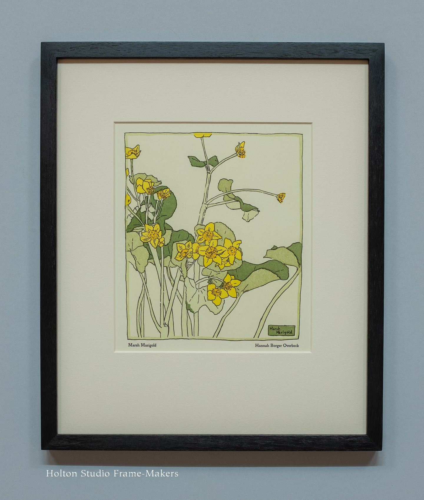 Overbeck - Marsh Marigolds