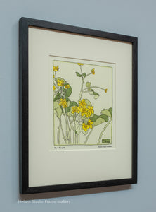 Overbeck - Marsh Marigolds
