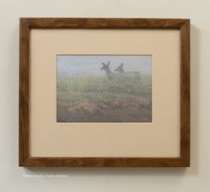 Elk in Fog - Pierce Point